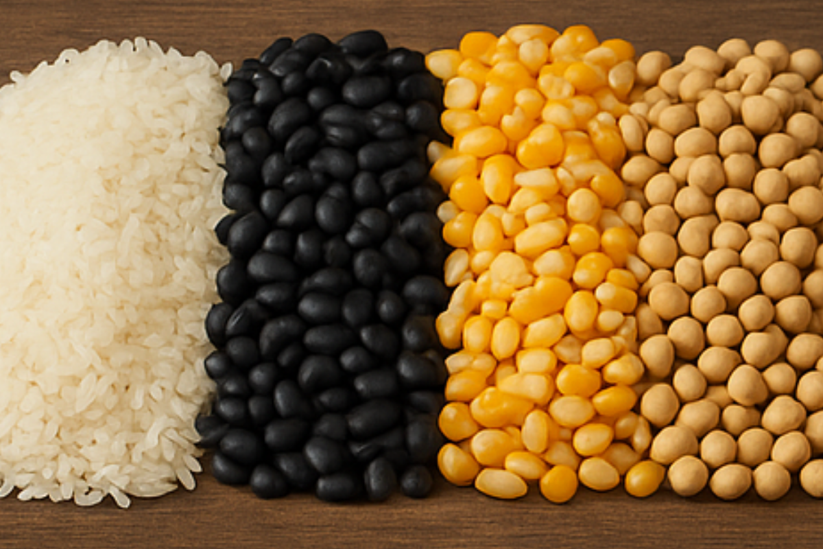 Imagem Ilustrativa do produto: